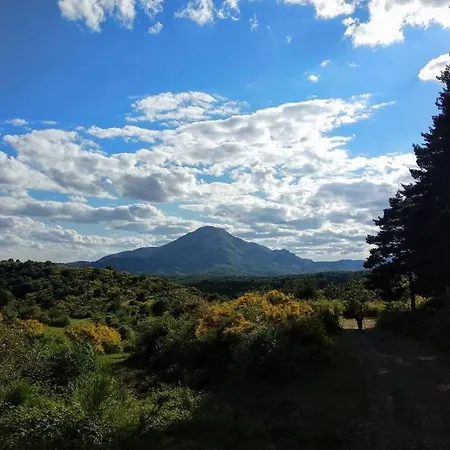 Casa Abuela Carmen *