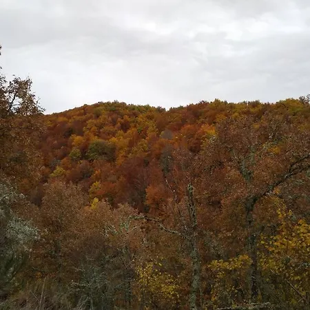 펜션 Casa Abuela Carmen