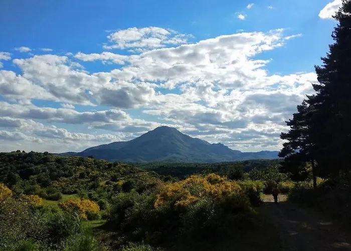 Casa Abuela Carmen *