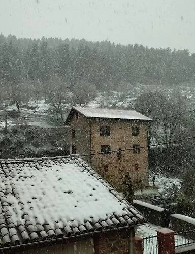 Casa Abuela Carmen 펜션 *