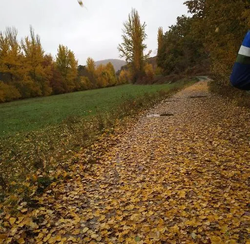 펜션 Casa Abuela Carmen