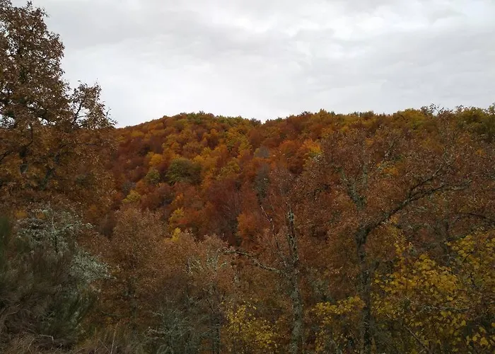 펜션 Casa Abuela Carmen